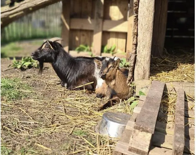 Appartement Eikelhof *